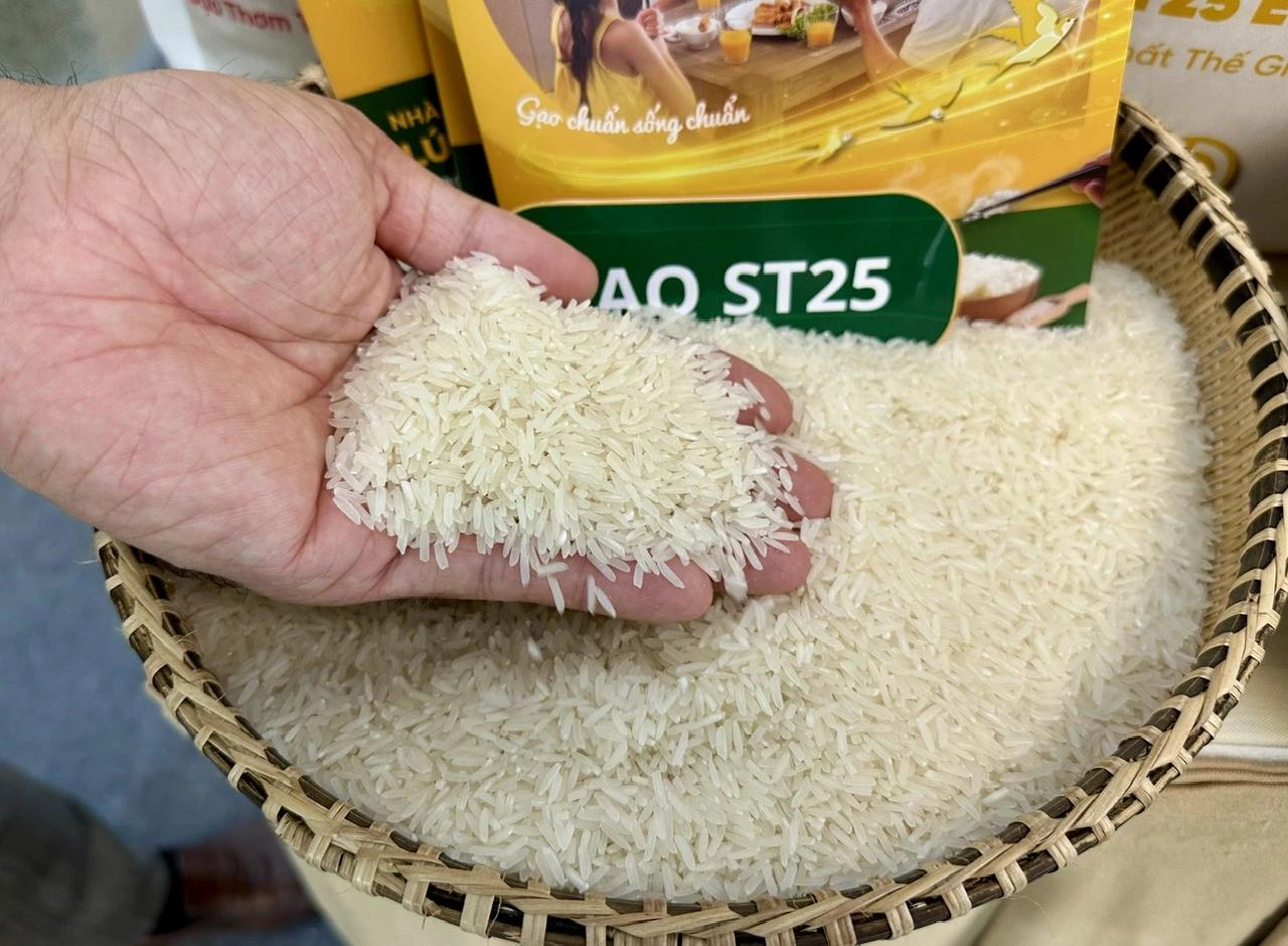 Gạo nguyên liệu – gạo sản xuất (bán sỉ/kho máy)