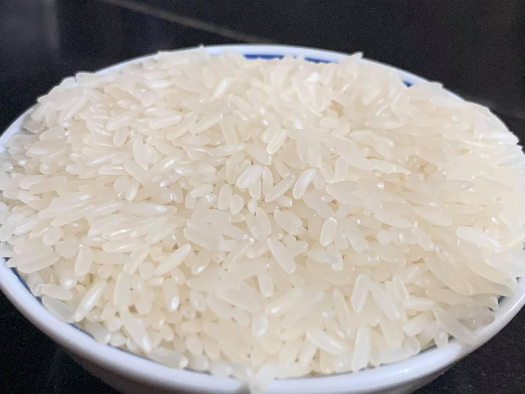 Chất lượng giống ổn định: nền tảng làm nên sức mạnh của ST25