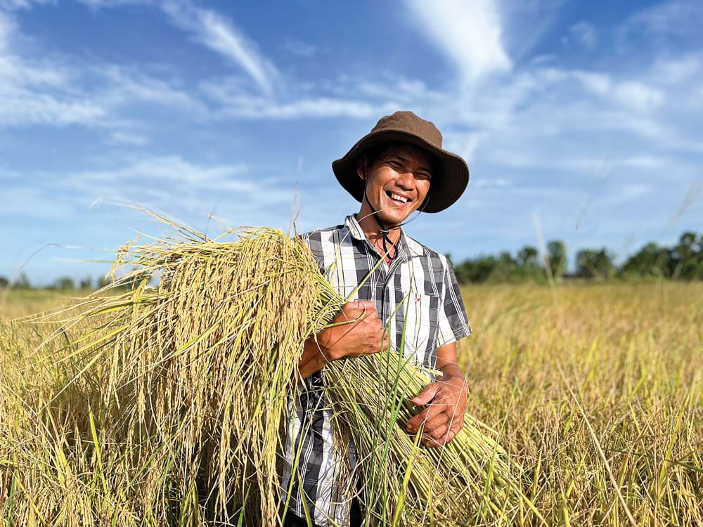 Vai trò của thương hiệu, đóng gói và niềm tin người tiêu dùng