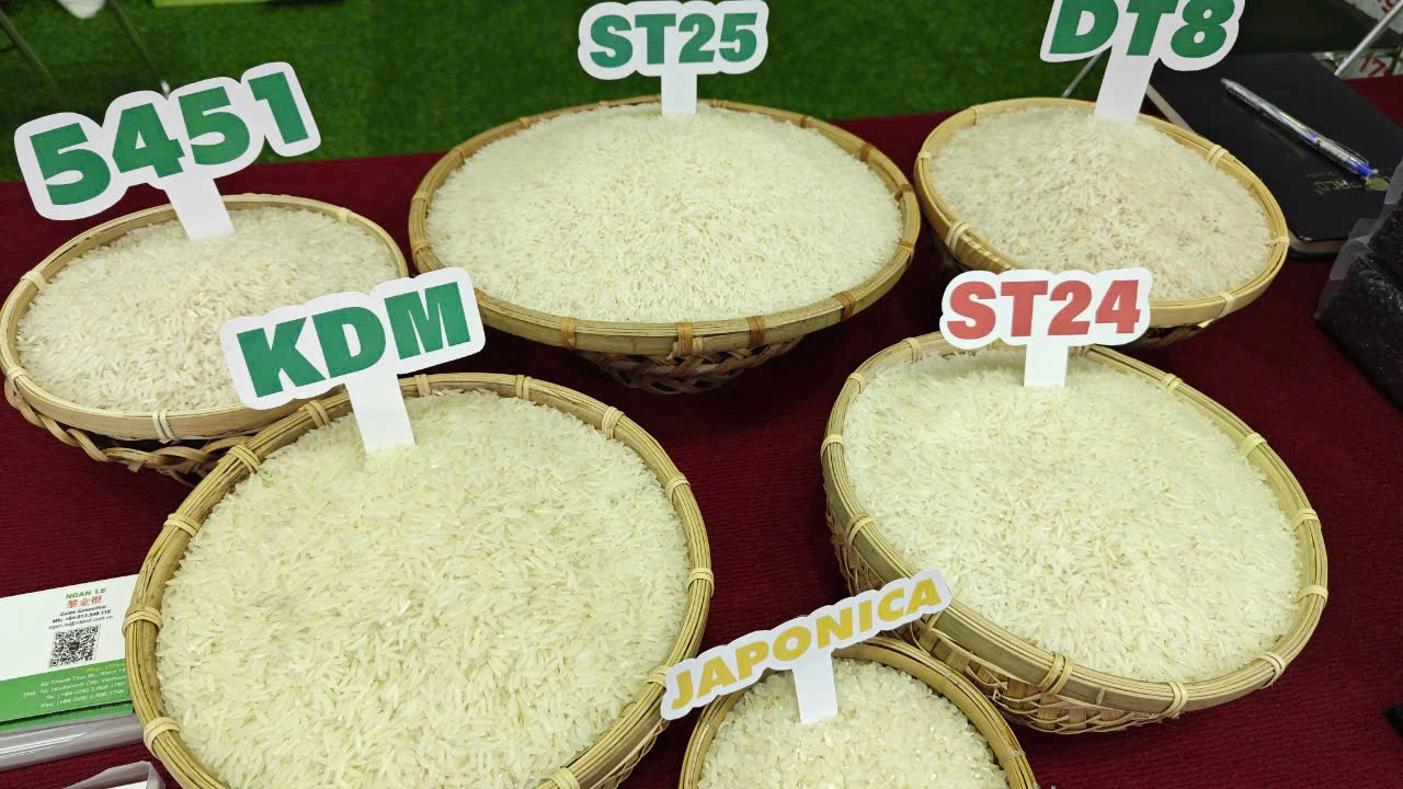 Giá nhiều nhóm gạo tại thị trường nội địa nhìn chung duy trì mức ổn định hoặc tăng nhẹ, nó đặc biệt đúng với phân khúc gạo thơm và gạo chất lượng cao – những mặt hàng thường có sức tiêu thụ mạnh vào giai đoạn cuối năm.