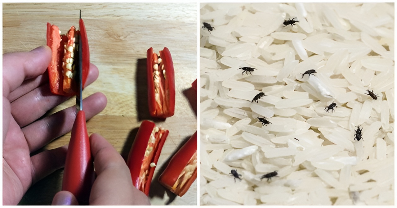 Mẹo chống mọt gạo tự nhiên, an toàn cho sức khỏe