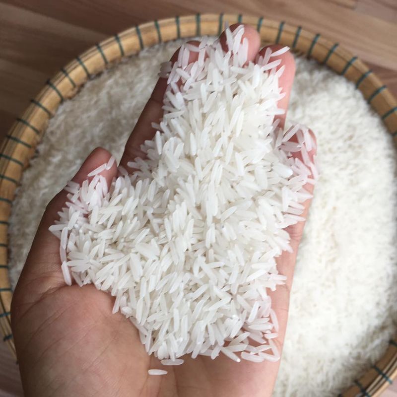 Hạt gạo đẹp, cơm thơm ngon và giữ vị lâu — yếu tố chinh phục chuyên gia quốc tế