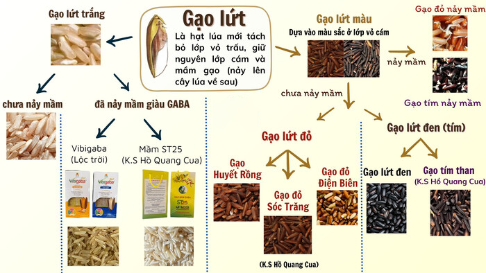 gao-lut-la-gi-an-gao-lut-co-thuc-su-tot-cho-nguoi-giam-can