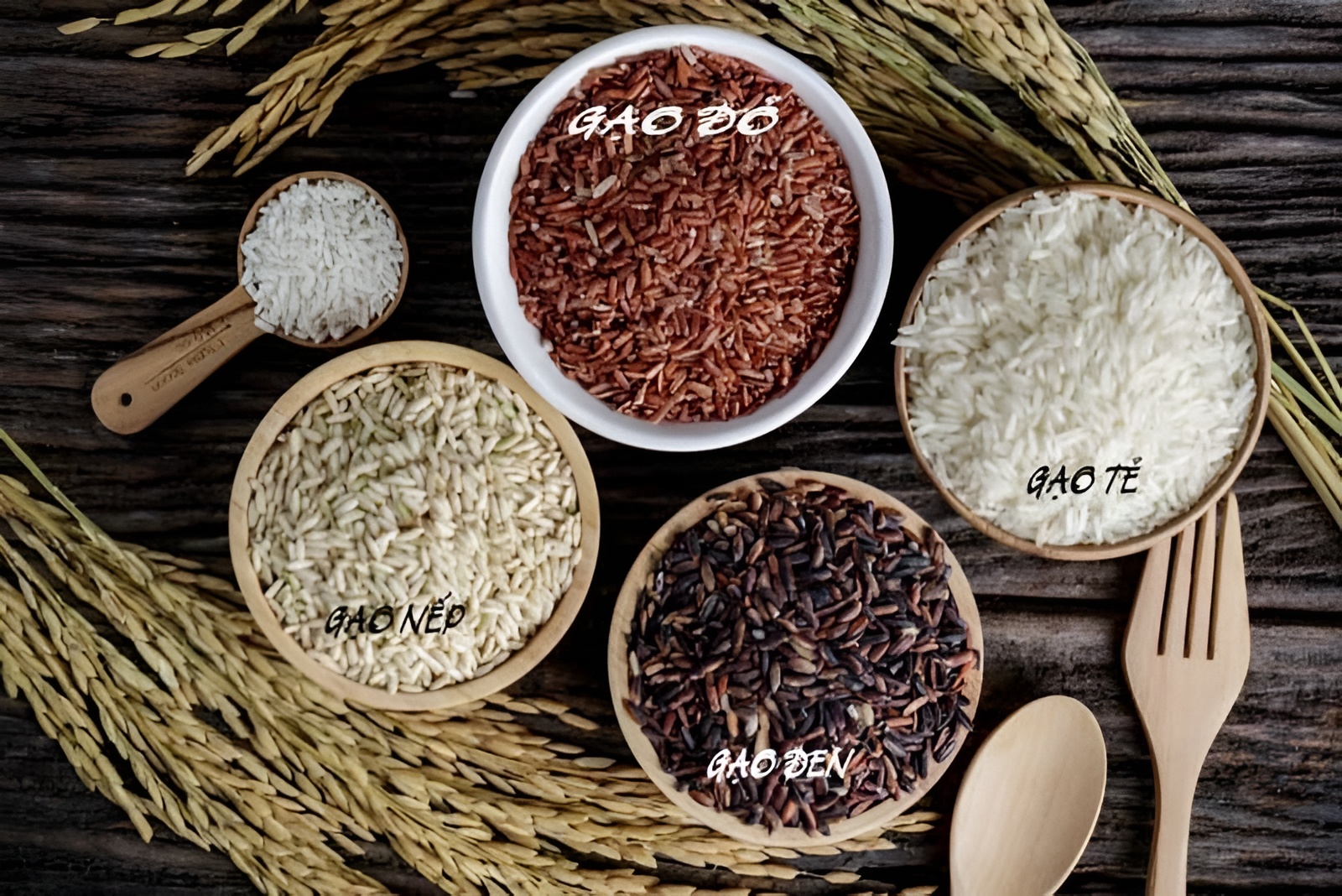 Khi mua gạo, nên ưu tiên những loại có hạt đều, nguyên vẹn, bề mặt bóng nhẹ và không lẫn nhiều hạt gãy.