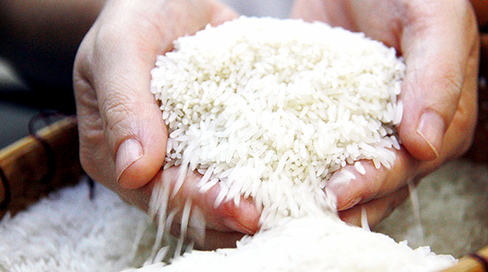 Gạo đặc sản vùng miền như gạo nàng thơm Chợ Đào, gạo Tám Hải Hậu, gạo Séng Cù Tây Bắc