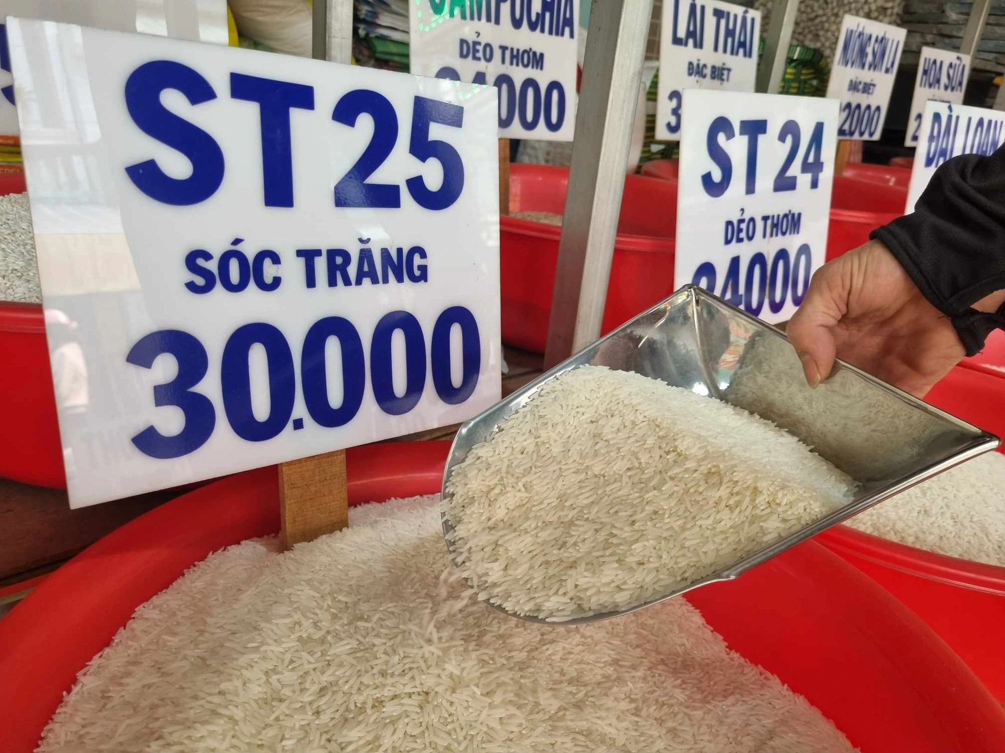 ST25 hiện được bán với mức giá khoảng 30.000–60.000 đ/kg