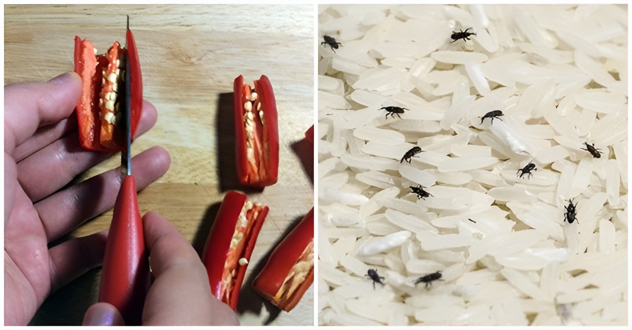 Tương tự, vị cay nồng và mùi hăng của ớt khô ngăn chặn sự xâm nhập của mọt hiệu quả.