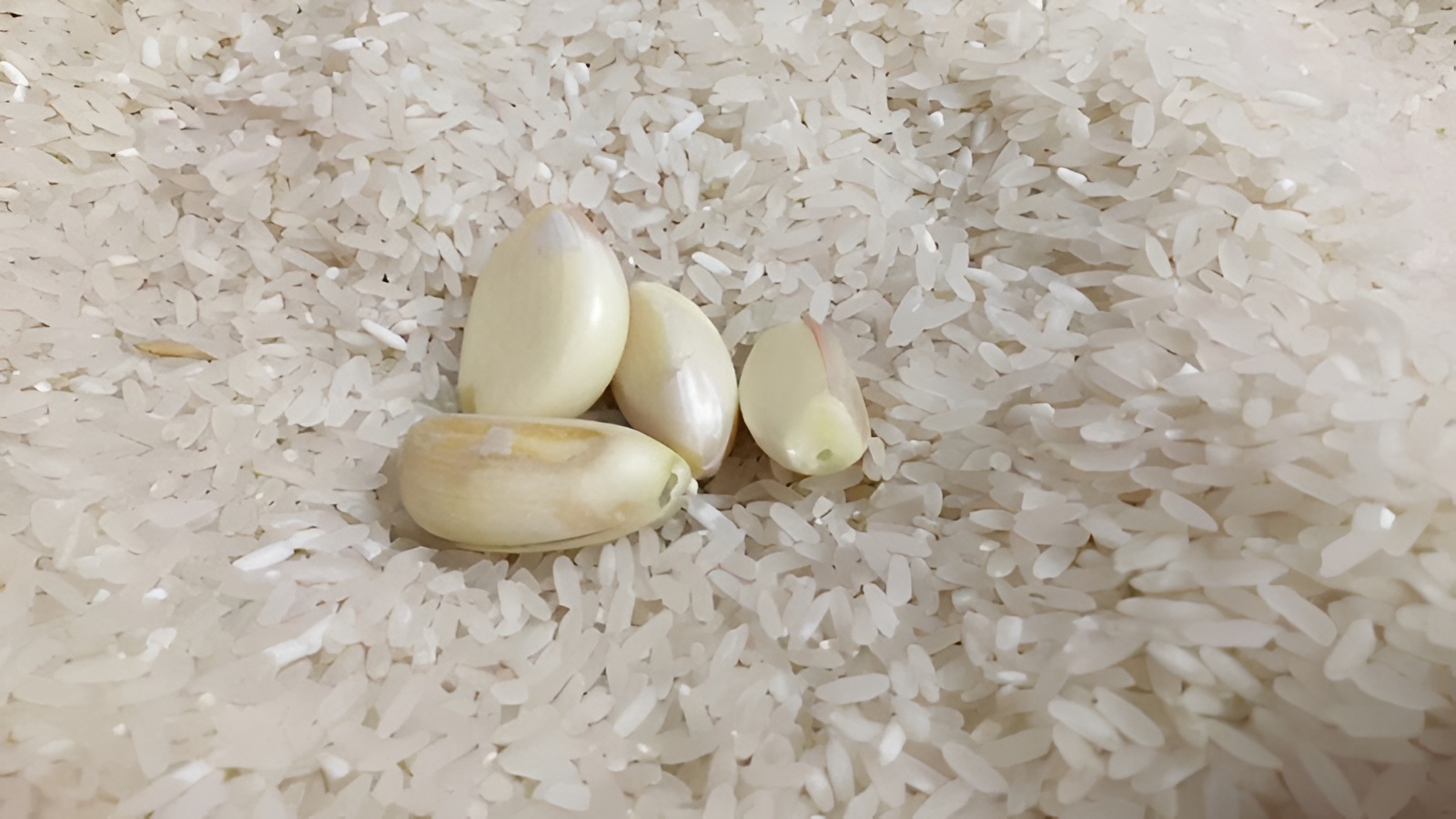 Tỏi giúp thùng gạo luôn sạch sẽ và giữ được chất lượng hạt gạo nguyên bản lâu hơn.