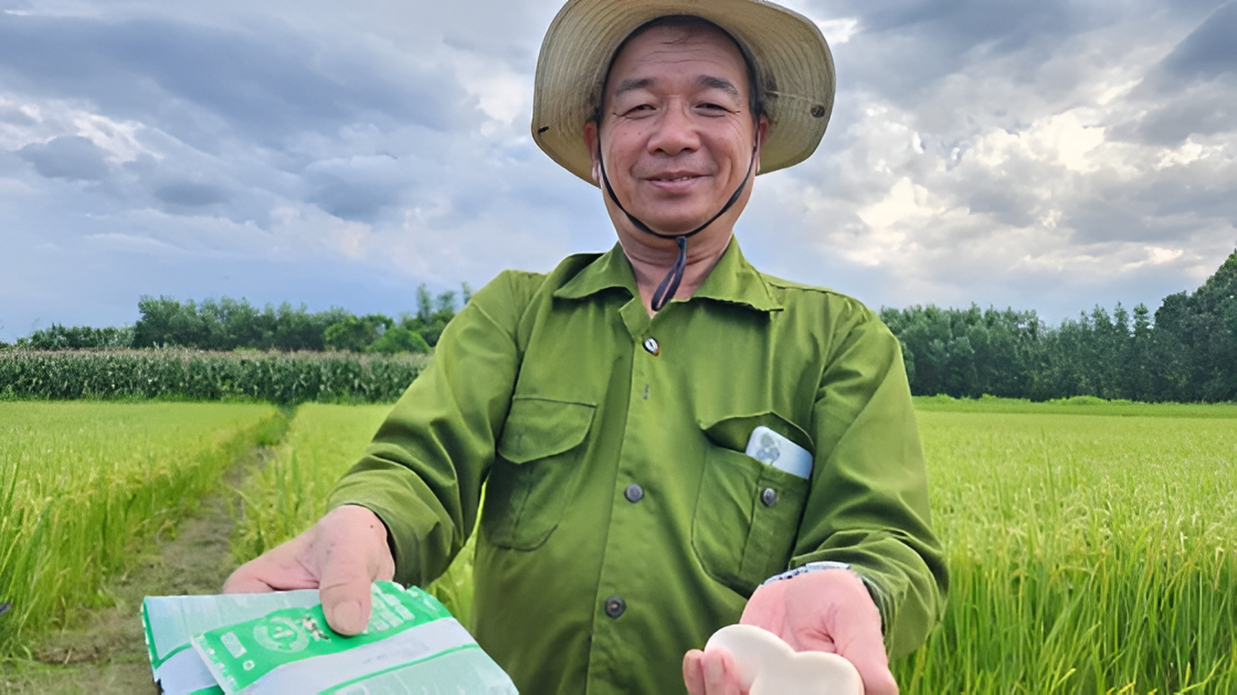 Gạo sạch là loại gạo được sản xuất theo quy trình khép kín và được kiểm soát nghiêm ngặt từ khâu chọn giống, gieo trồng, chăm sóc, thu hoạch cho đến chế biến và đóng gói thành phẩm.