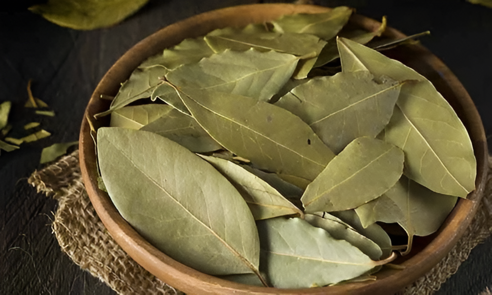 Sử dụng lá nguyệt quế để bảo quản gạo khỏi sự tấn công của mọt