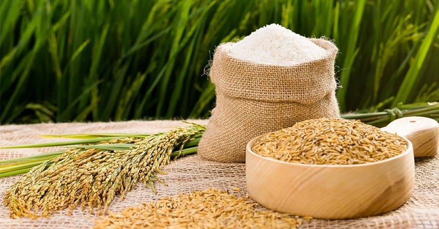 Nhu cầu lương thực toàn cầu gia tăng