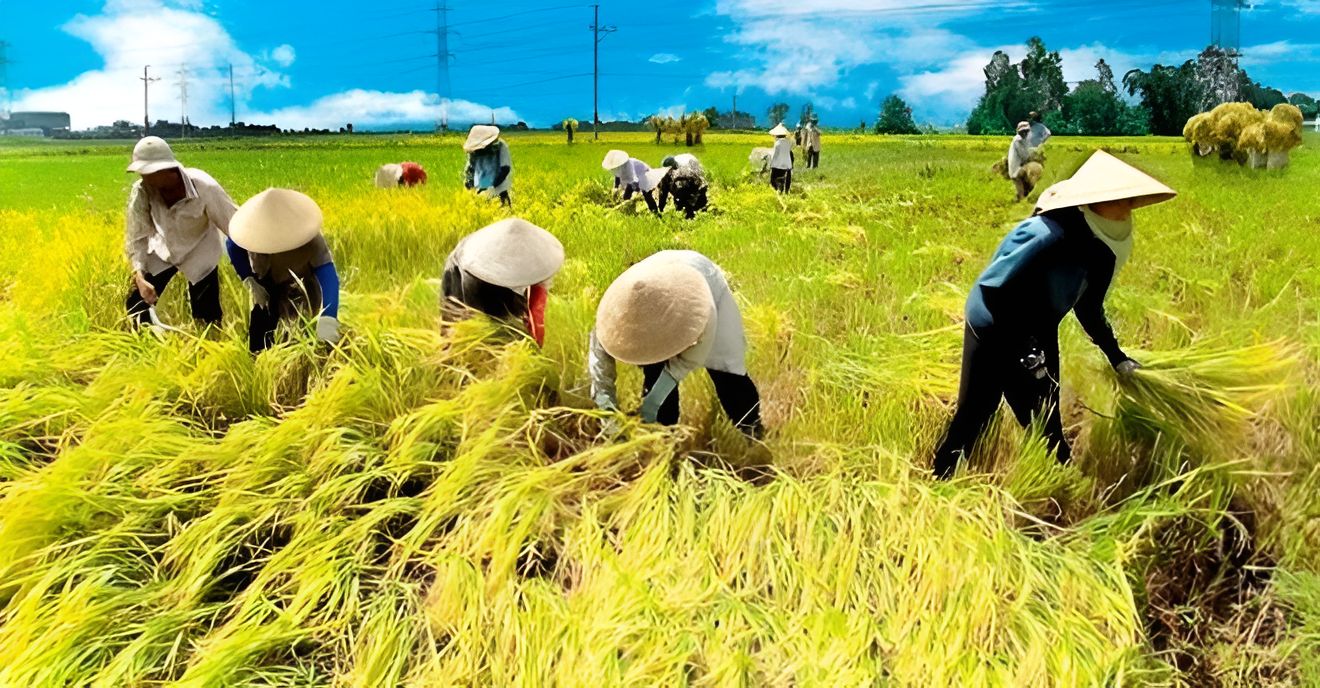 Biến đổi khí hậu và tác động đến sản xuất