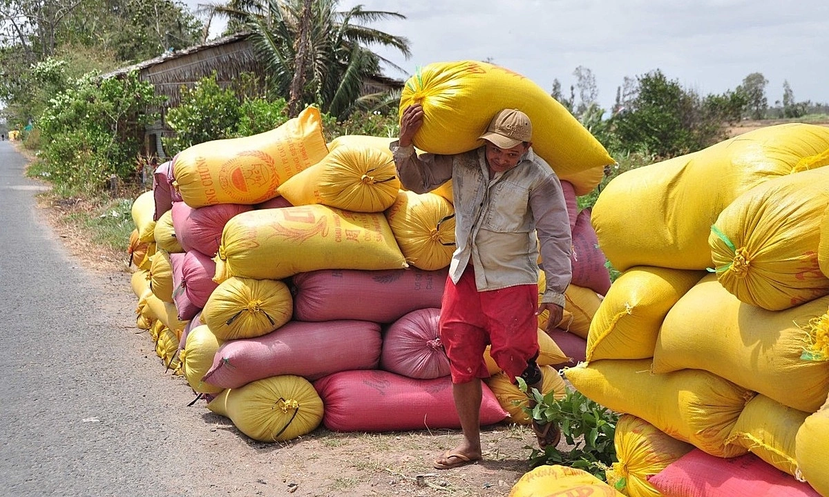 Người nông dân cũng cần được hỗ trợ tốt hơn về tài chính và kỹ thuật sản xuất