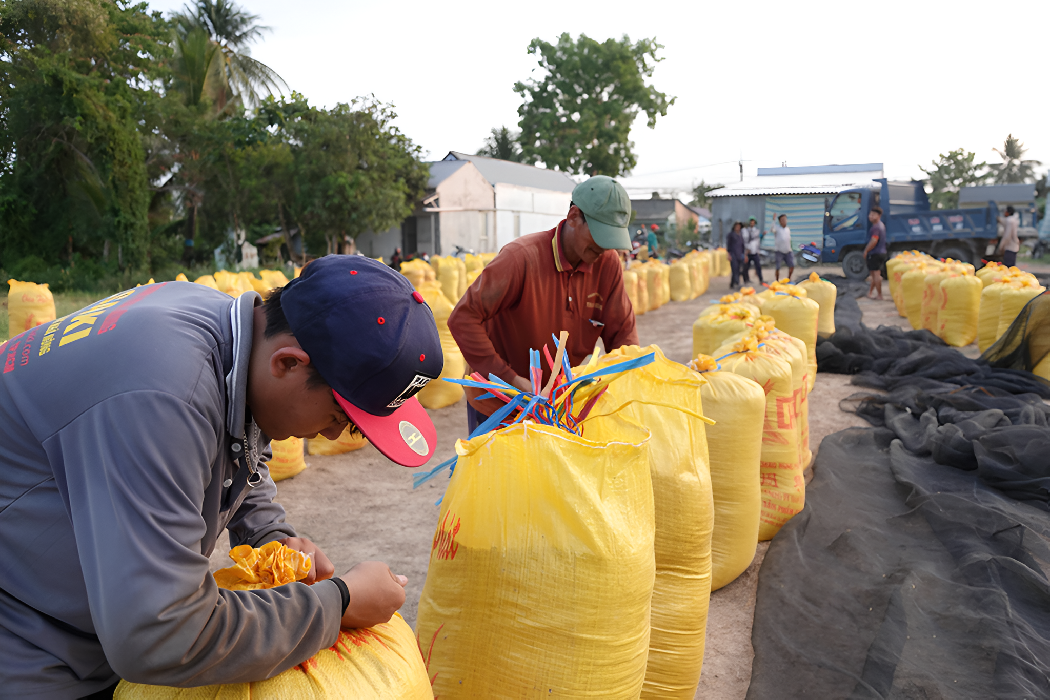 Đặc thù văn hóa ẩm thực tại Philippines và vị thế đặc biệt của hạt gạo Việt Nam