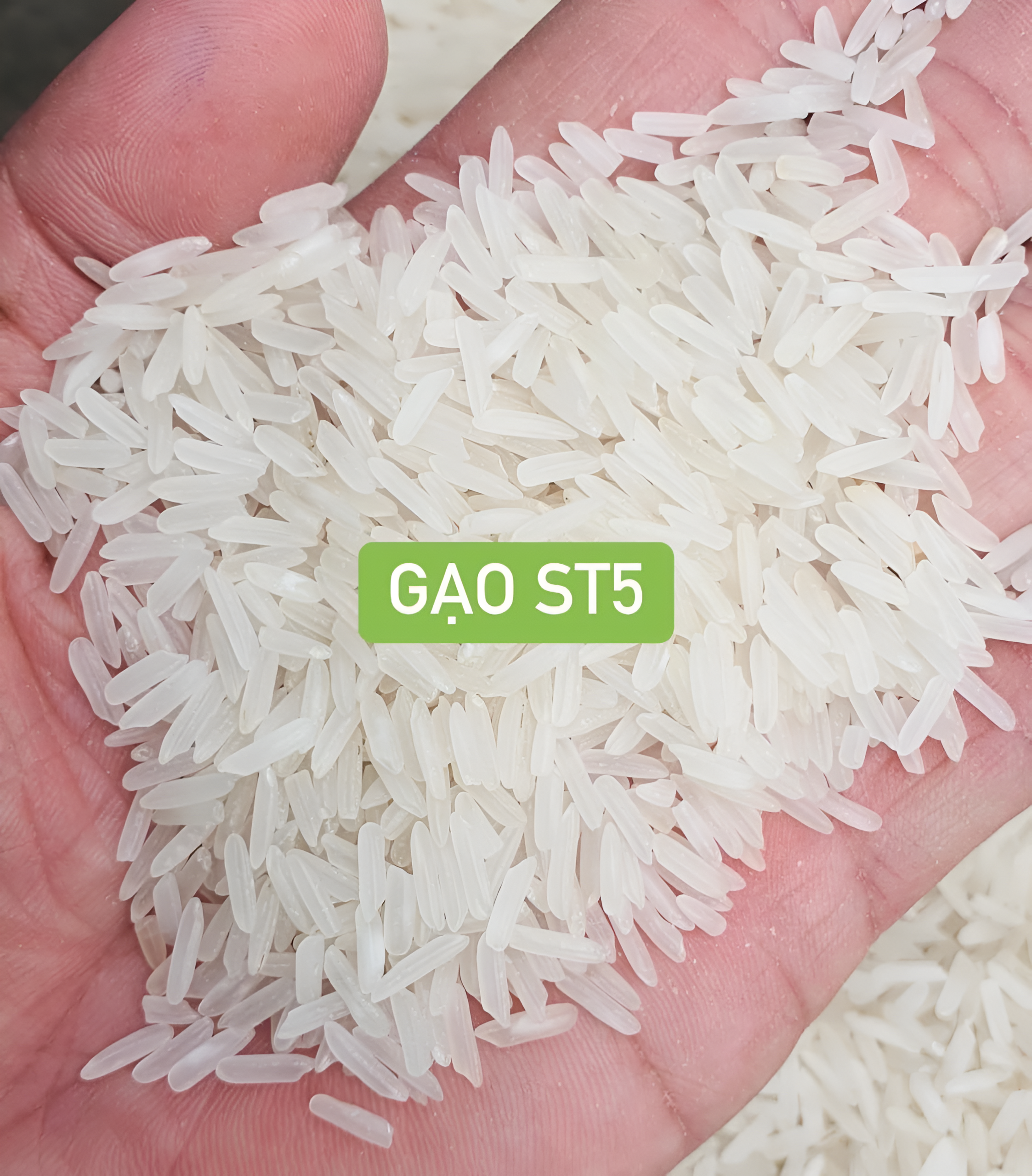 Hạt gạo dài, thon và khá đồng đều