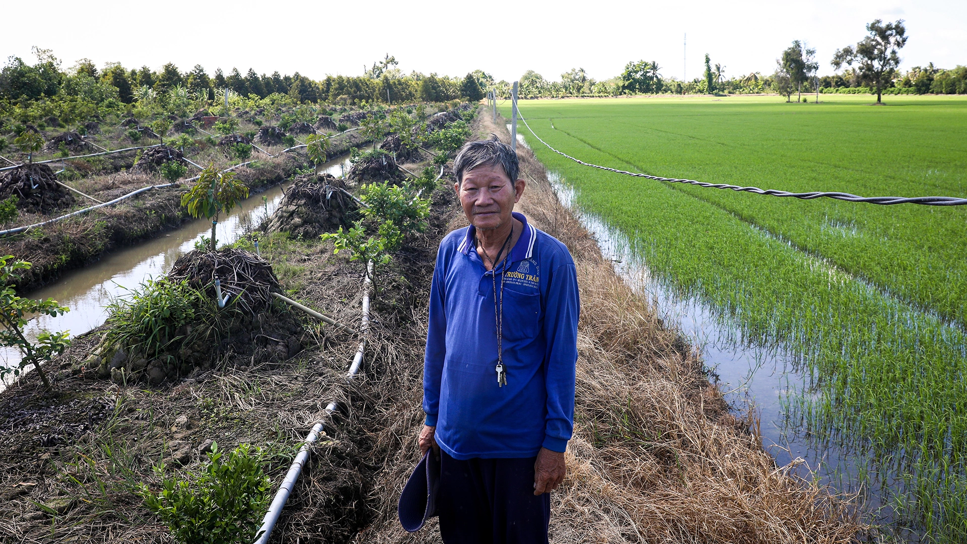 Người nông dân lao đao vì gía giảm, nhưng chi phí tăng cao 