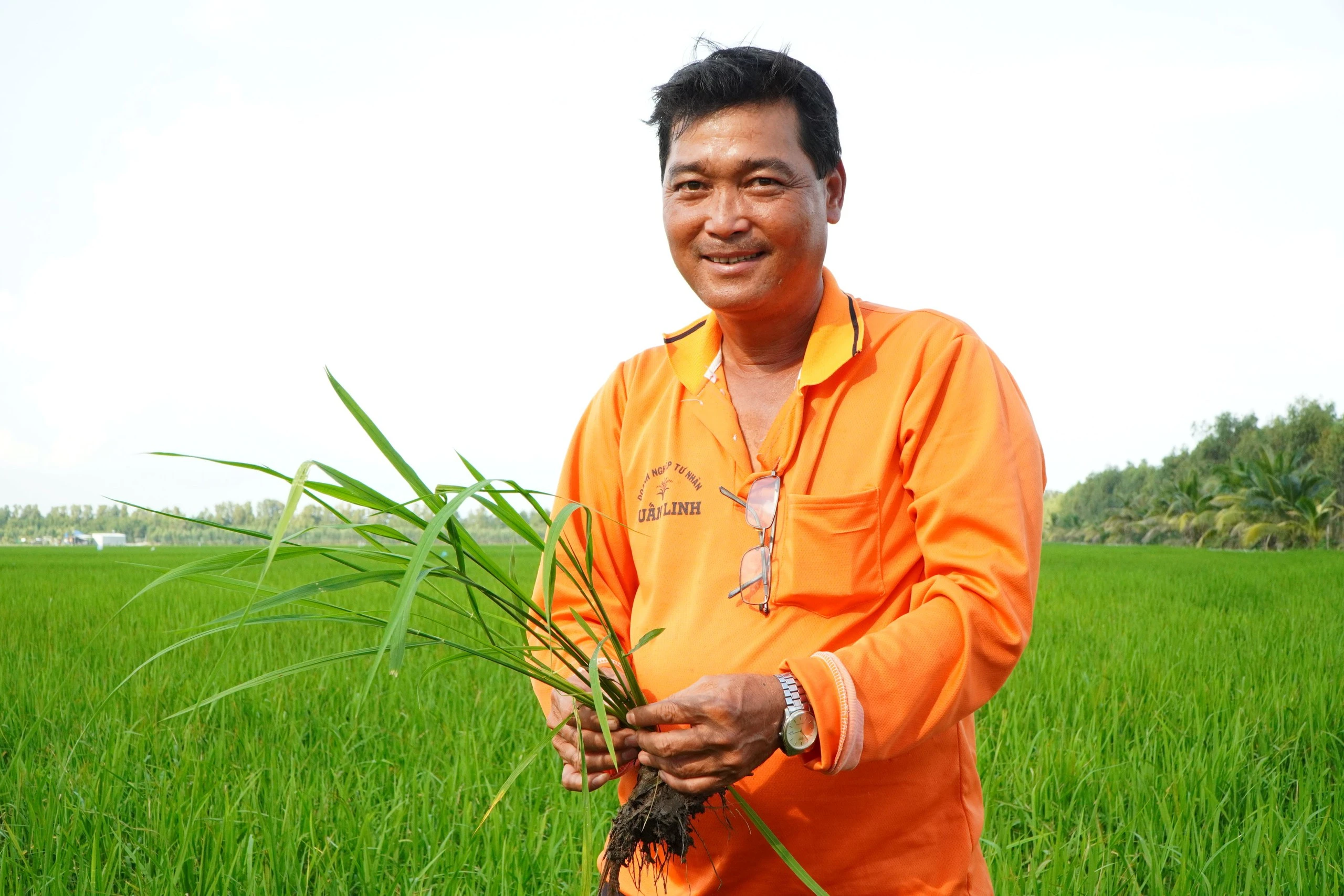 Sự chững lại về nhu cầu tiêu thụ tại các thị trường nhập khẩu truyền thống trọng điểm của Việt Nam đã tạo ra một lực cản rất lớn đối với hoạt động xuất khẩu của các doanh nghiệp chế biến lúa gạo. 