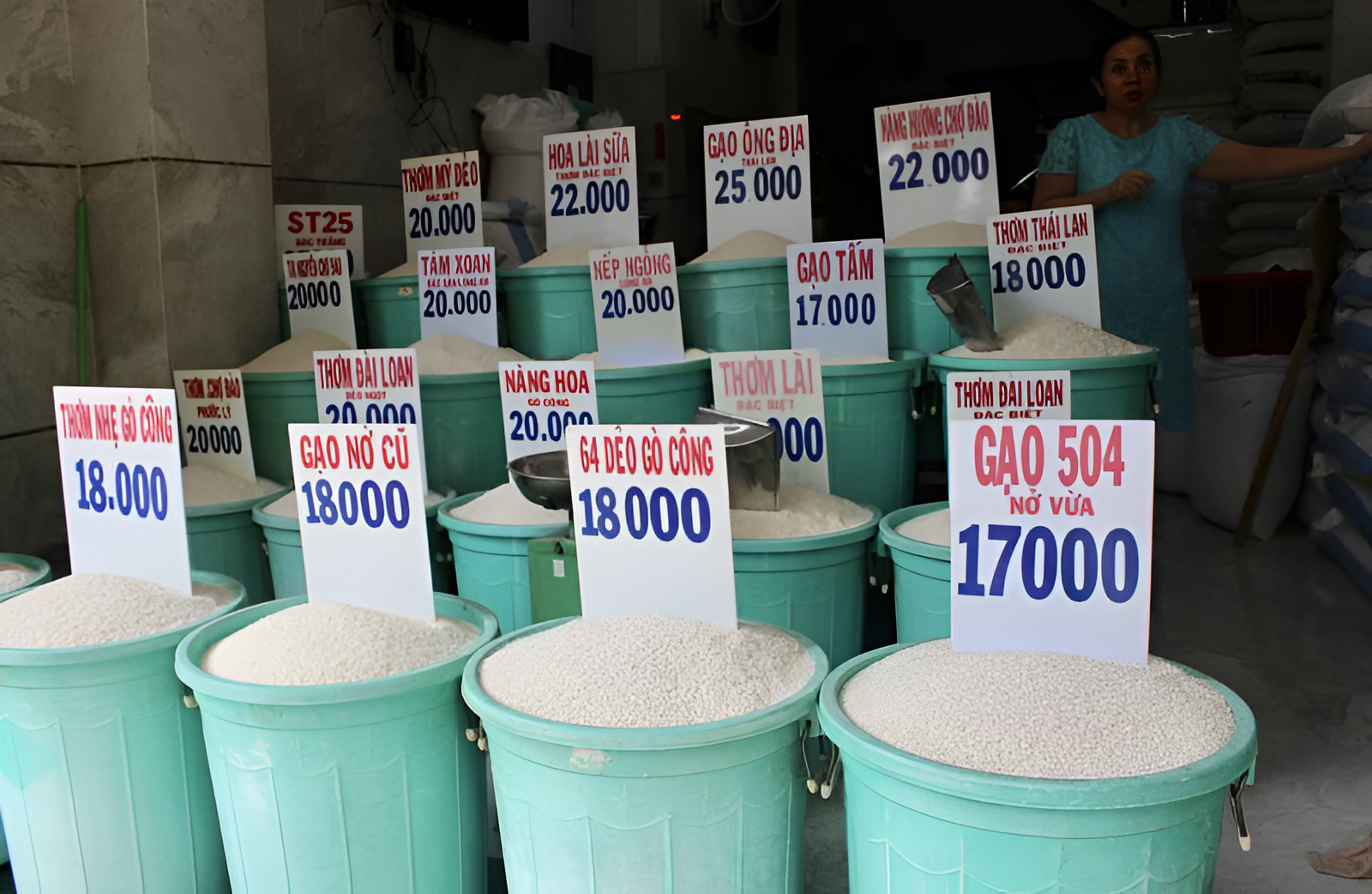 Nhất là thời tiết nóng ẩm như ở Việt Nam, gạo để lâu trong điều kiện không tốt có thể mất mùi thơm, bị ẩm, xuất hiện mọt hoặc thậm chí bị mốc.