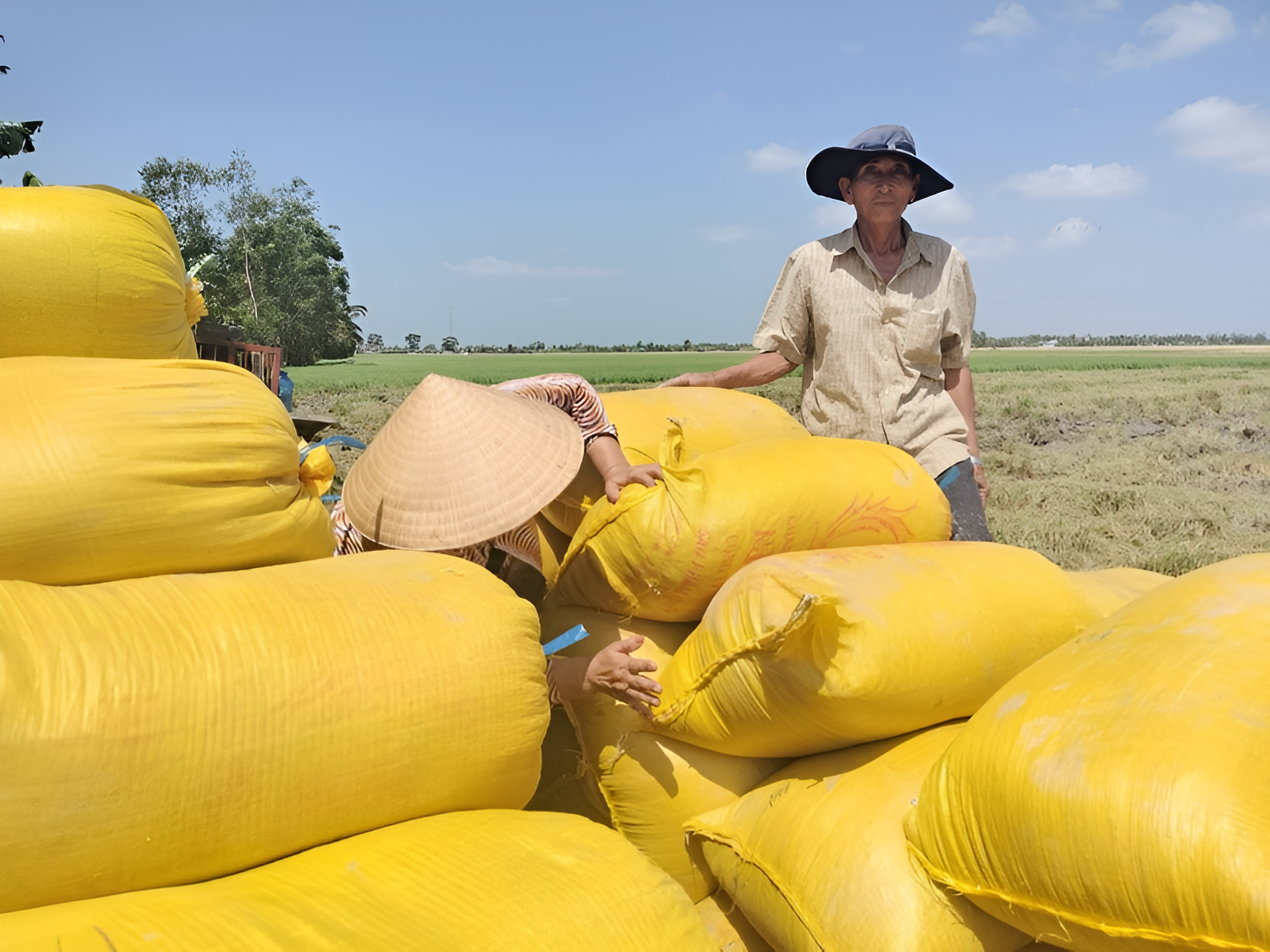 Thứ hai, cần củng cố liên kết giữa nông dân, hợp tác xã và doanh nghiệp để hạn chế tình trạng “bẻ kèo”, ép giá.