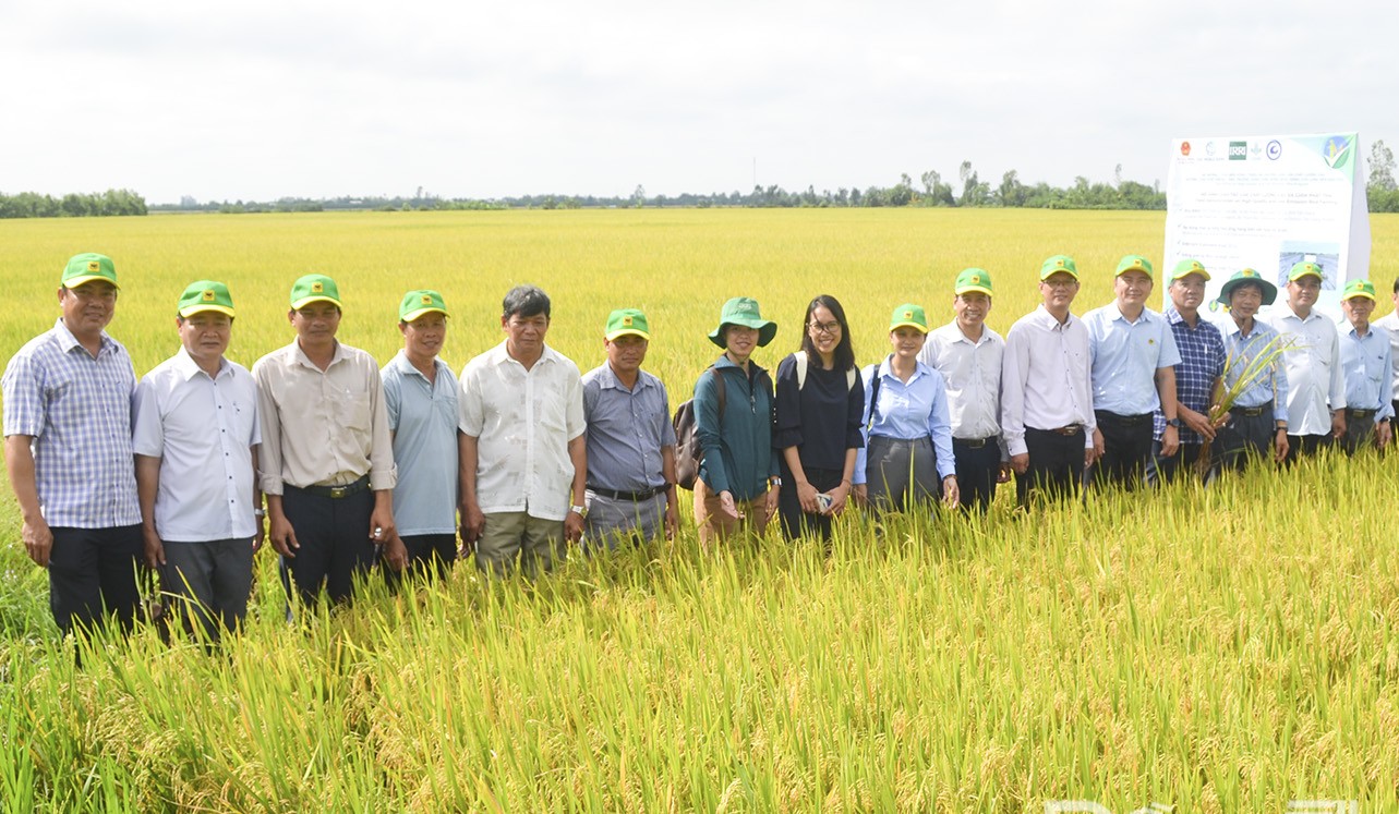 Thứ ba, cần có chính sách tín dụng phù hợp để doanh nghiệp đủ vốn thu mua lúa trong thời điểm chính vụ.