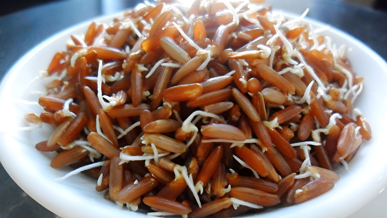 Cơ chế sinh học và sự vượt trội dưỡng chất so với gạo thường