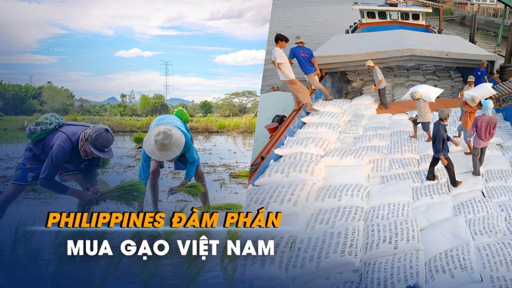 Thị trường giá gạo châu Á trong năm 2026 đang chứng kiến những biến động khó lường khi giá gạo liên tục chịu áp lực giảm từ nhiều phía.