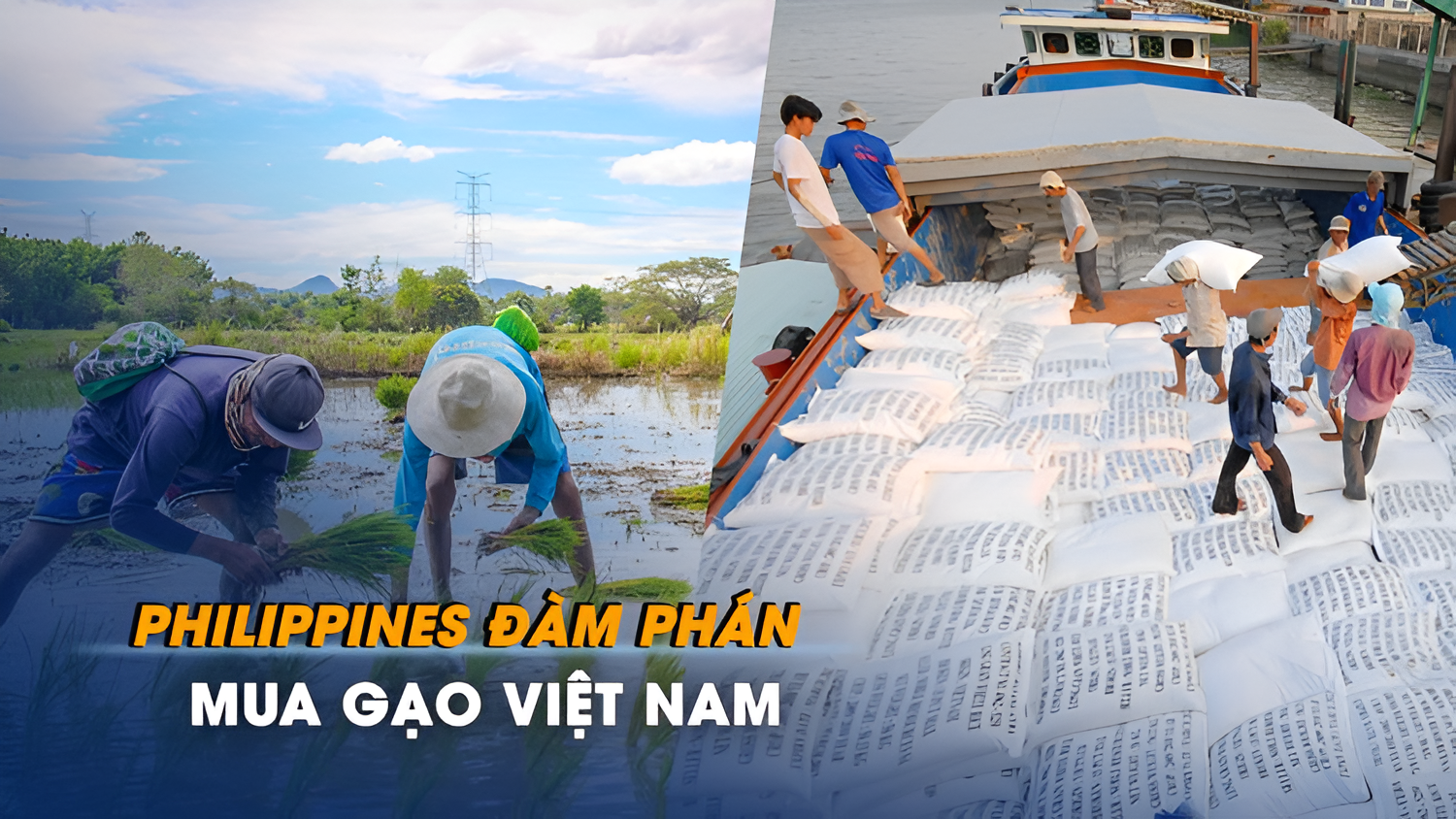 Thị trường giá gạo châu Á trong năm 2026 đang chứng kiến những biến động khó lường khi giá gạo liên tục chịu áp lực giảm từ nhiều phía.